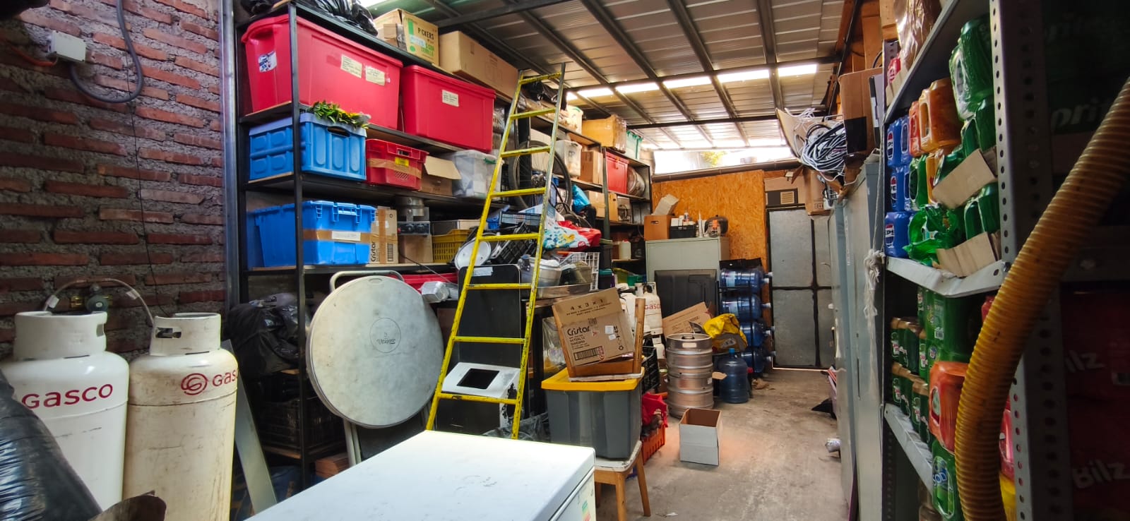 Local Quinta Normal - Imagen 8