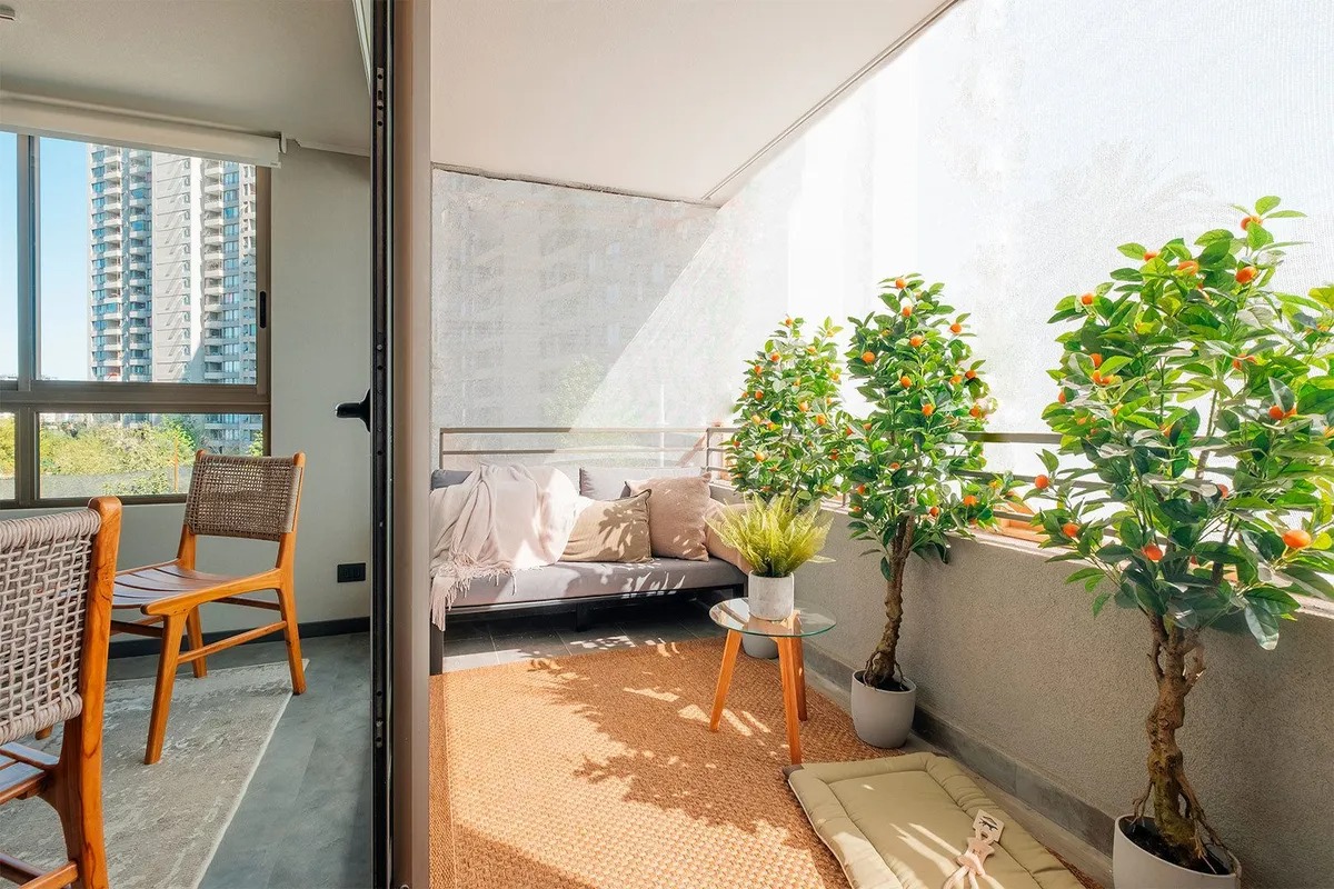 Edificio Las Palmas - Imagen 12